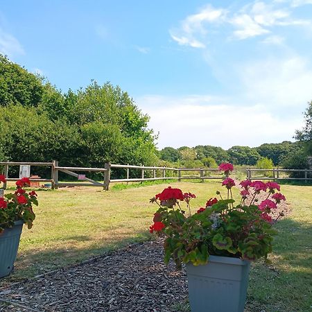 Cosy Cabins At Westfield Farm, Isle Of Wight Yarmouth  Eksteriør bilde